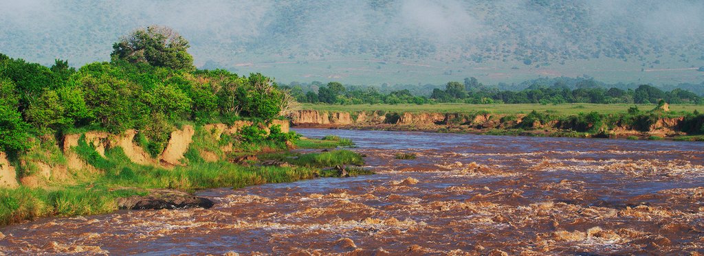 Постер фильма Масаи Мара. Истории дикой природы Африки