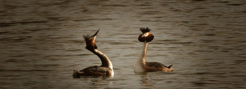 Постер фильма Однажды в старом канале