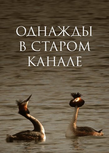 Movie Однажды в старом канале 2016