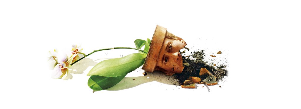 Постер фильма Адаптация