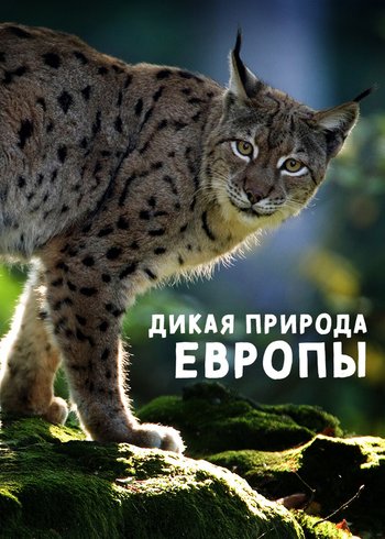 Сериал Дикая природа Европы 2018