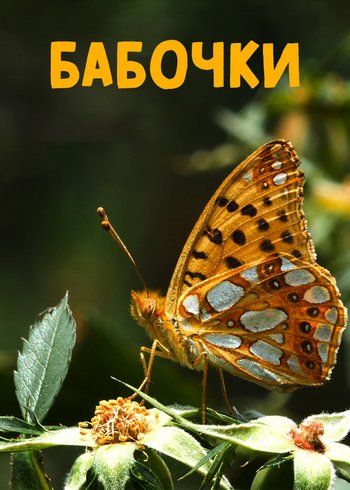 Фильм Бабочки 2018