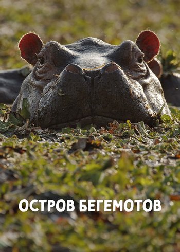 Movie Остров бегемотов 2020