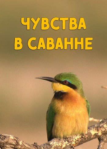 Фильм Чувства в Саванне 2014