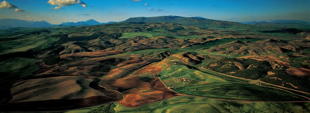 Постер сериала Алжир с высоты птичьего полета