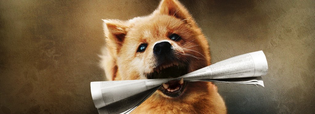 Постер фильма Мой Хатико