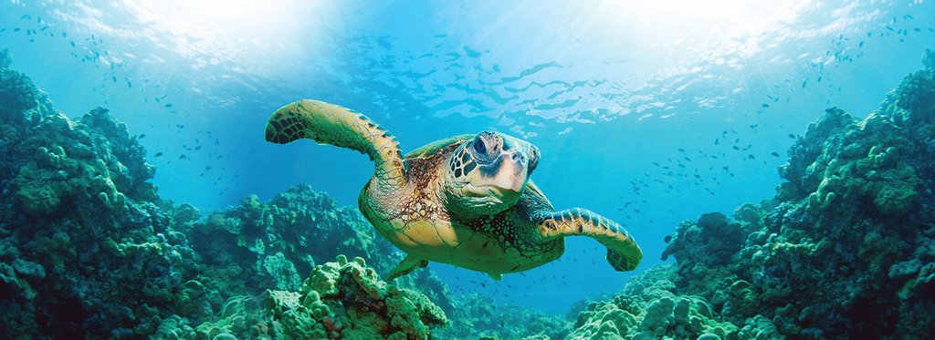 Постер сериала Галапагосы: На краю земли