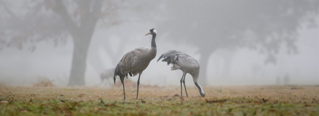 Постер фильма Южная зима