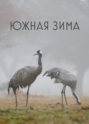 Фильм Южная зима 2017