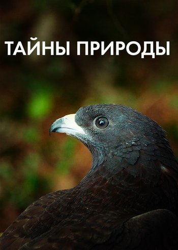 Сериал Тайны природы 2022