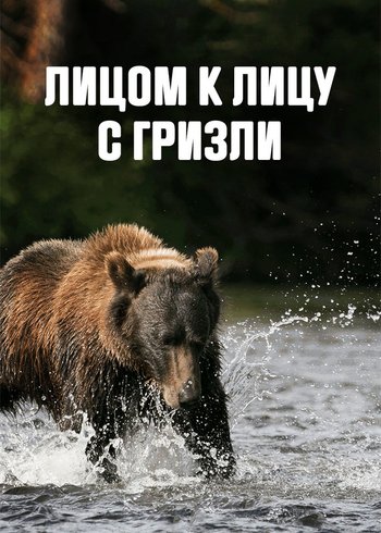 Фильм Лицом к лицу с гризли 2021