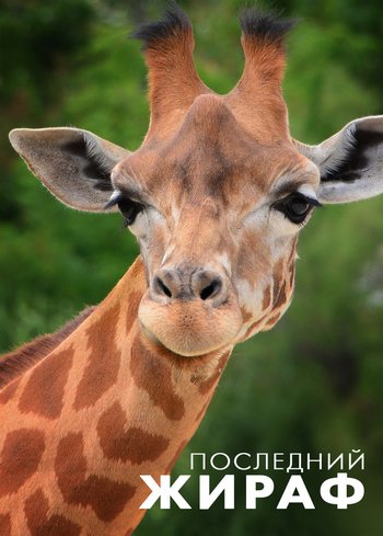 Фильм Последний жираф 2018