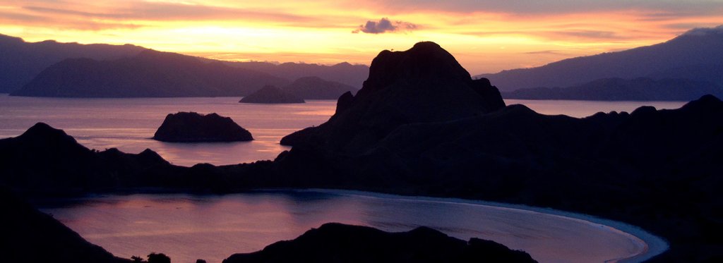 Постер фильма Драконы с острова Комодо. История любви