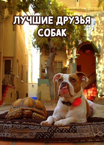 Сериал Лучшие друзья собак 2015