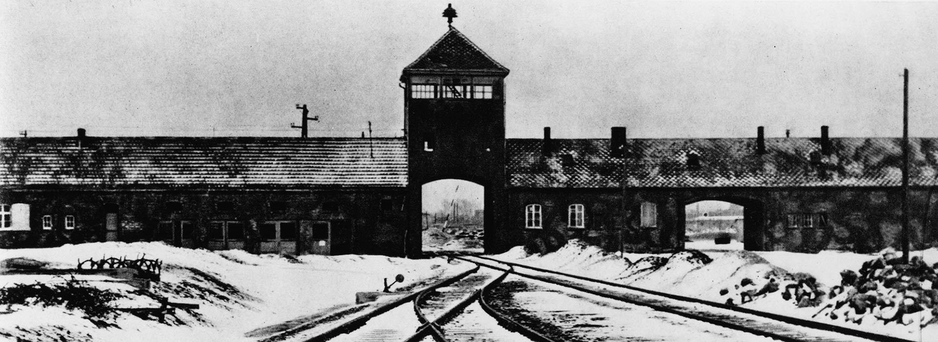 Movie poster Auschwitz: The Hidden Traces