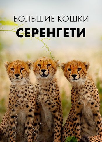 Фильм Большие кошки Серенгети 2020