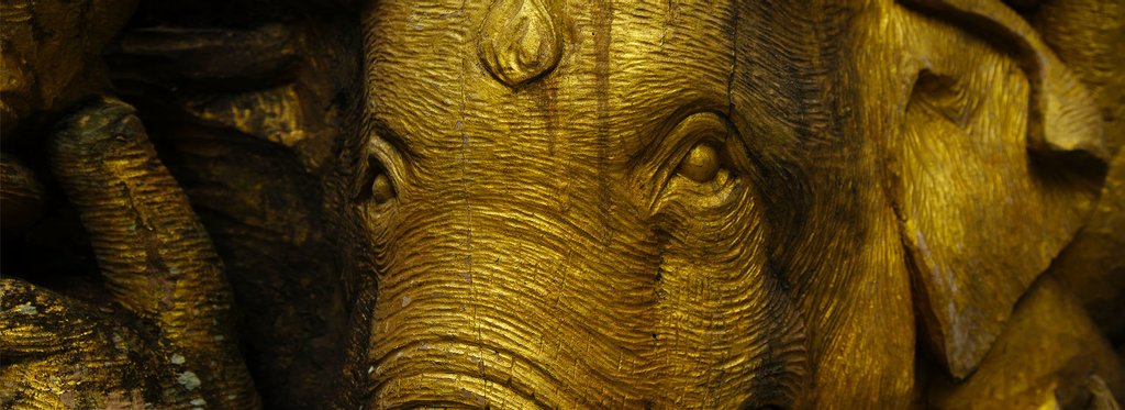 Постер сериала Больница для слонов