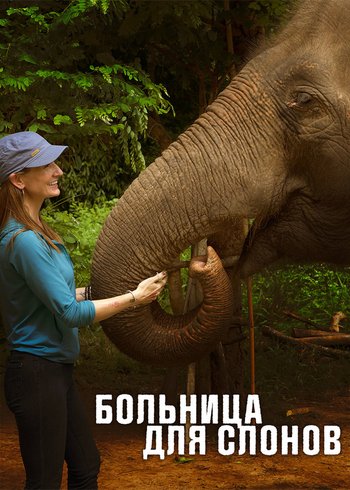 Сериал Больница для слонов 2020
