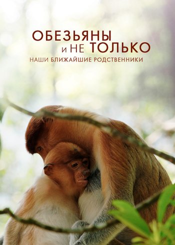 Фильм Обезьяны и не только: наши ближайшие родственники 2021