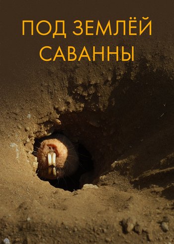Фильм Под землей Саванны 2013