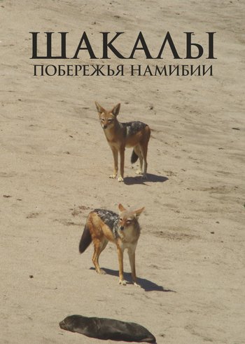 Фильм Шакалы побережья Намибии 2016