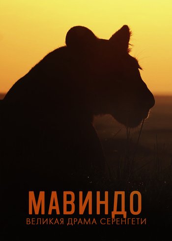 Фильм Мавиндо. Великая драма Серенгети 2019