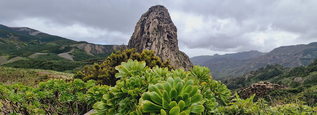Постер фильма Гарахонай. Древний лес Европы