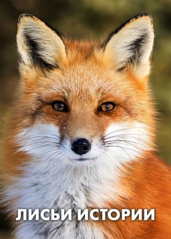Фильм Лисьи истории 2017