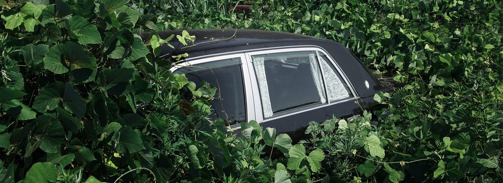 Постер фильма Фукусима: природа в зоне катастрофы