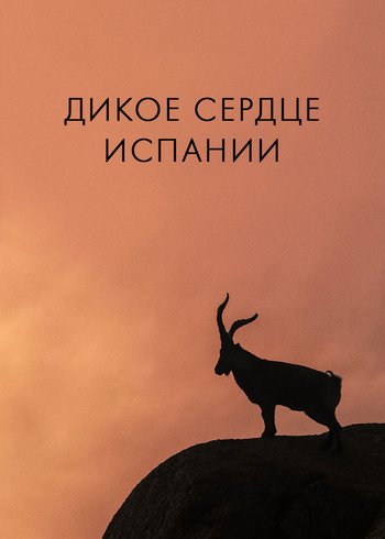 Фильм Дикое сердце Испании 2019