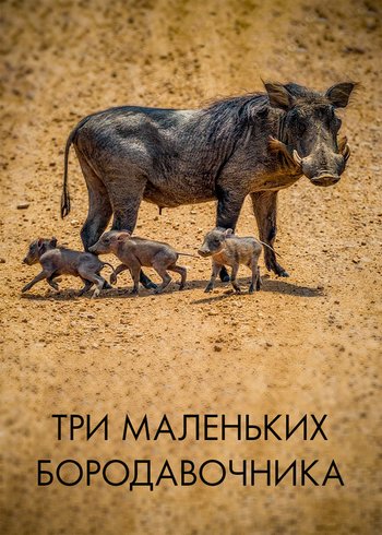 Фильм Три маленьких бородавочника 2022
