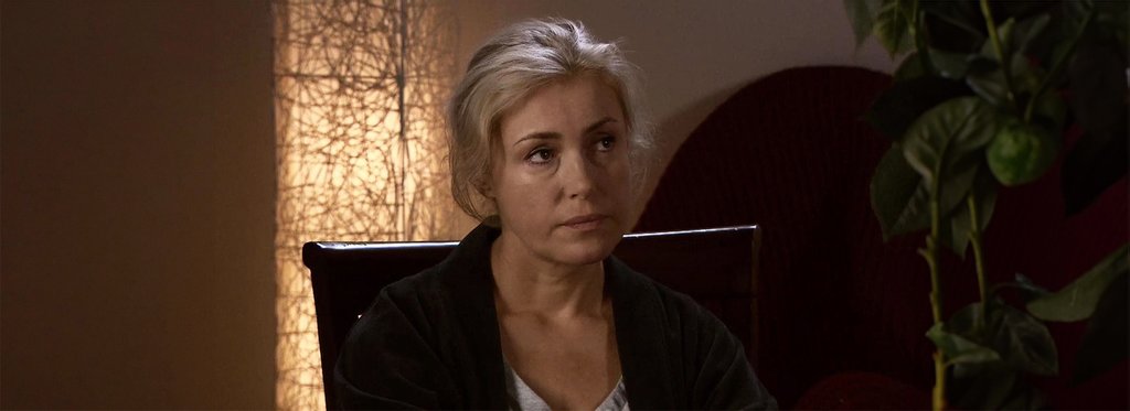 Постер фильма Каминный гость