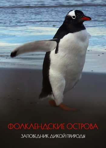 Фильм Фолклендские острова - заповедник дикой природы 2021