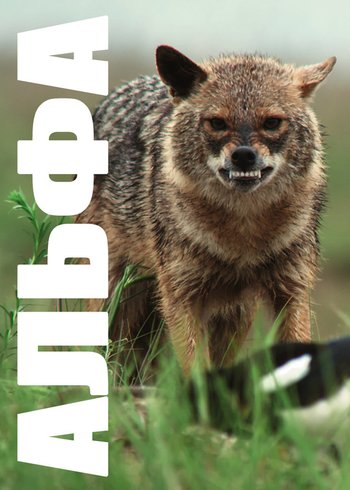 Фильм Альфа 2021