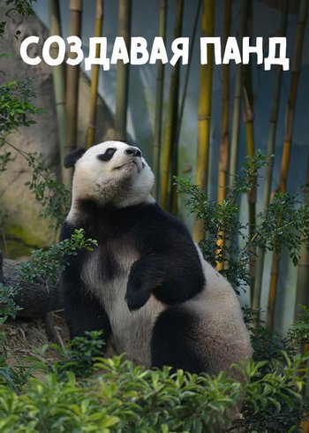 Фильм Создавая панд 2016