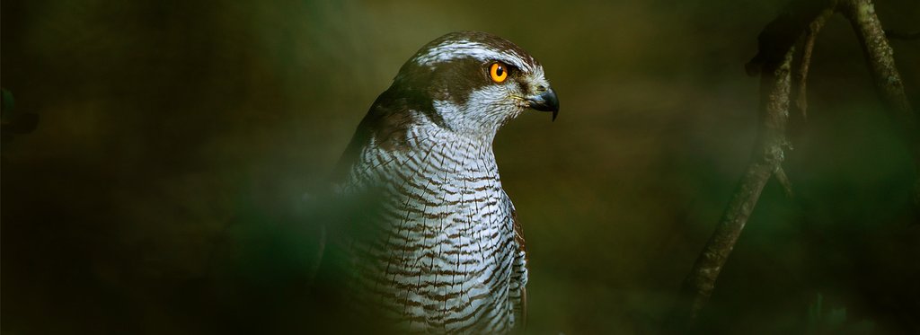 Постер фильма Охотники Средиземного моря 