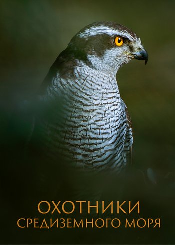 Фильм Охотники Средиземного моря  2022