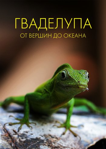 Фильм Гваделупа: от вершин до океана 2019