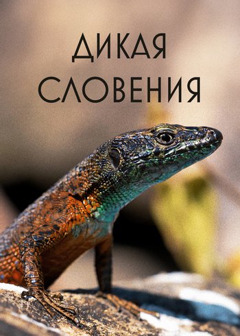 Фильм Дикая Словения 2022