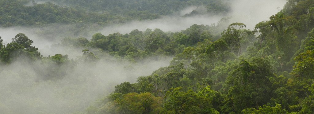 Постер фильма Невероятные экосистемы