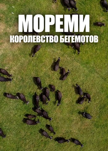 Фильм Мореми: королевство бегемотов 2021