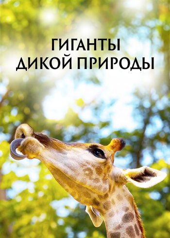 Сериал Гиганты дикой природы 2023