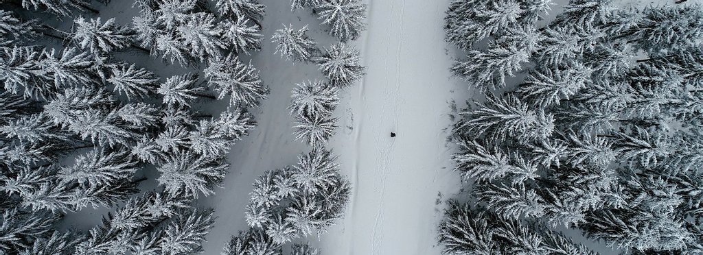 Постер фильма Пума. По следу призрака