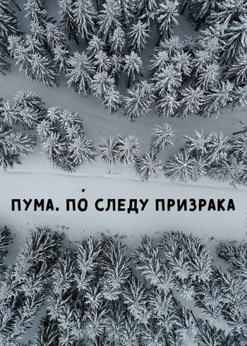 Фильм Пума. По следу призрака 2019