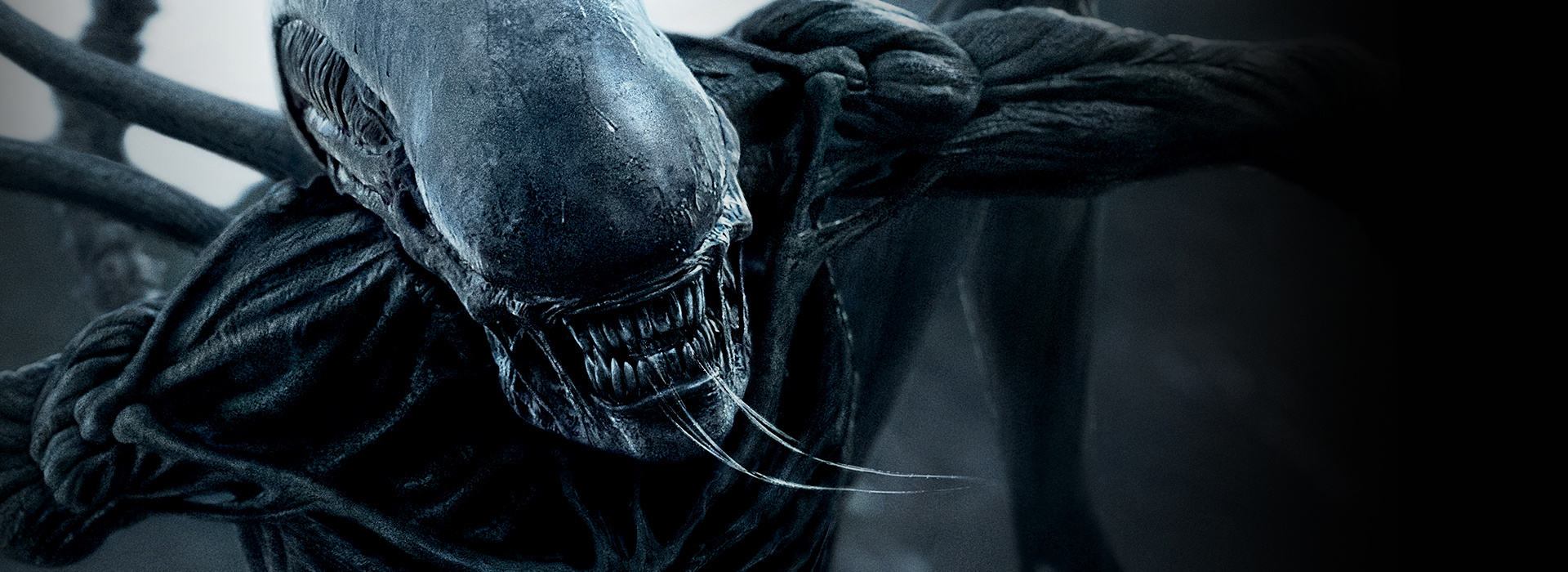 Movie poster Alien: Covenant