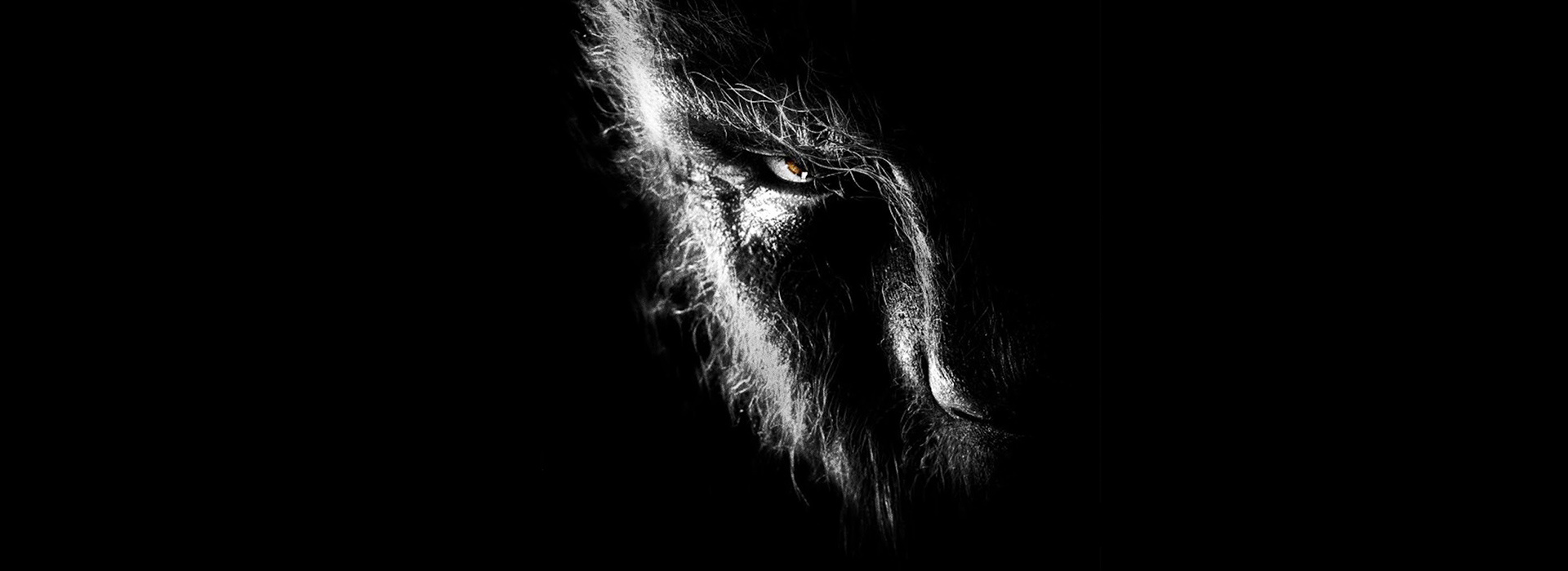 Постер фильма Человек-волк