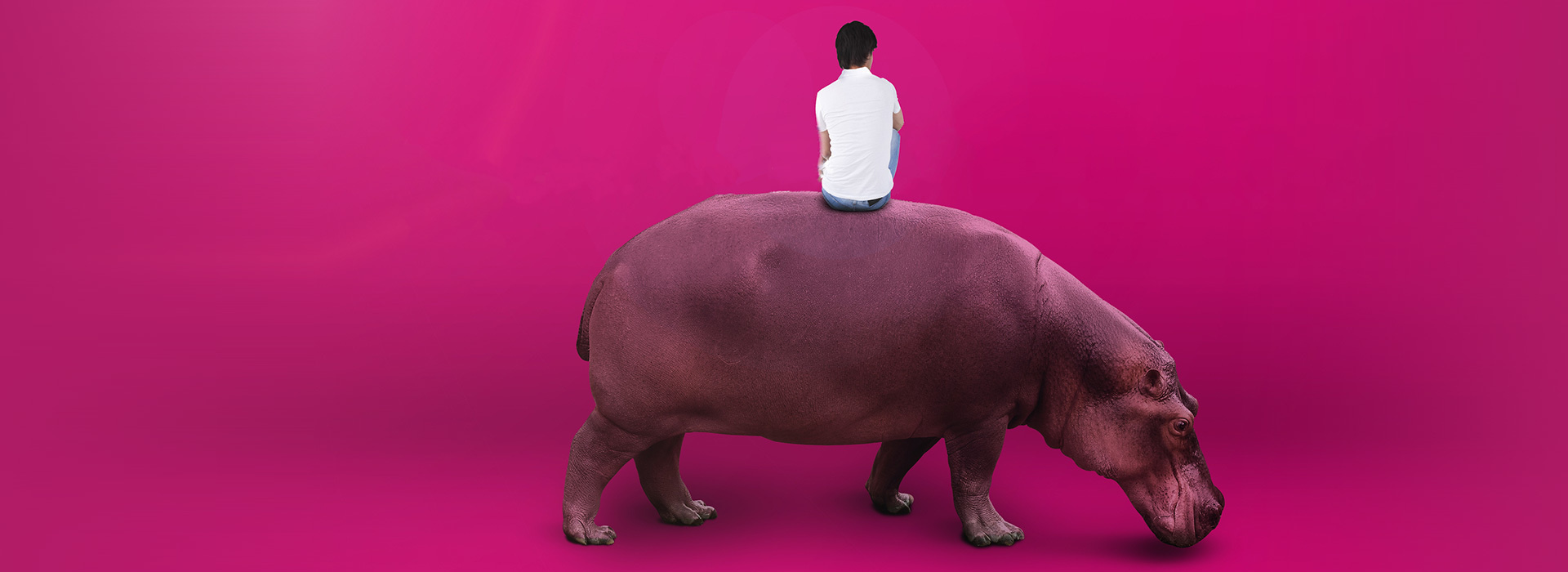 Movie poster The Hippopotamus