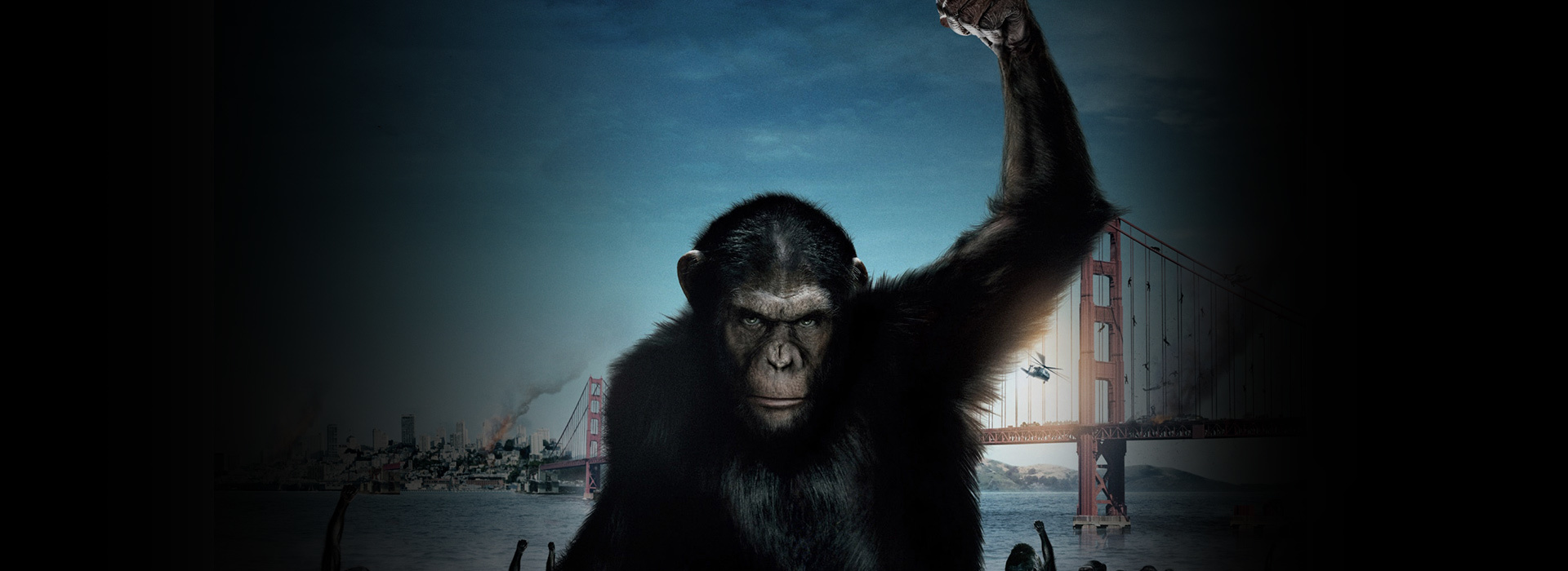Movie poster Rise of the Planet of the Apes